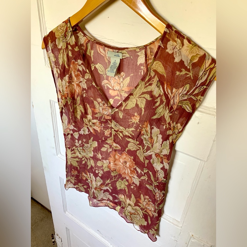 Sheer Blouse
